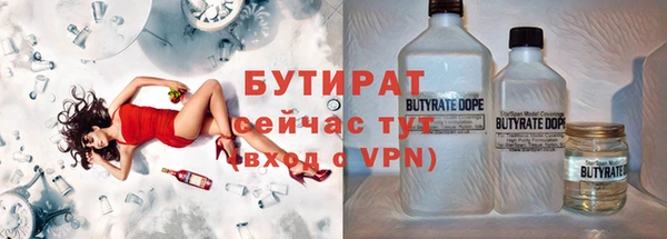 твердый Вяземский