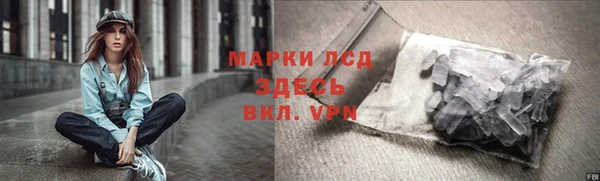 твердый Вяземский