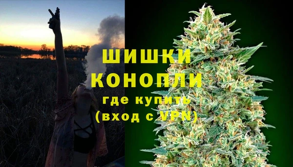 твердый Вяземский