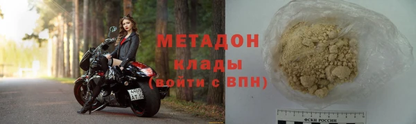 гидра Вязьма