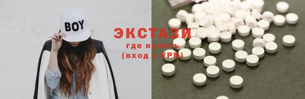 гидра Вязьма
