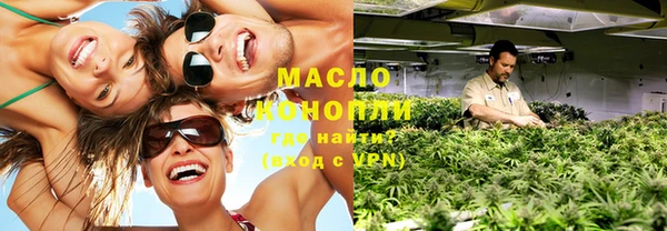 твердый Вяземский