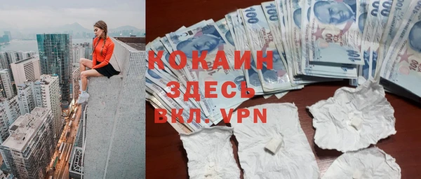 гидра Вязьма