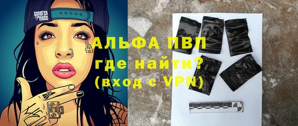 гидра Вязьма