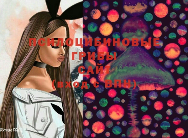 гидра Вязьма