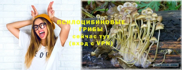 гидра Вязьма