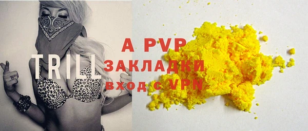 твердый Вяземский