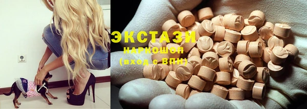 гидра Вязьма