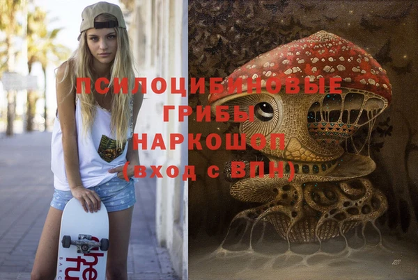 твердый Вяземский